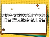 潍坊奎文数控培训学校怎么报名(奎文数控培训报名)