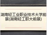 湖南轻工业职业技术大学前景(湖南轻工职大前景)