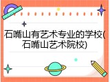 石嘴山有艺术专业的学校(石嘴山艺术院校)