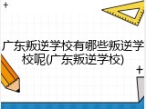 广东叛逆学校有哪些叛逆学校呢(广东叛逆学校)