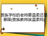 贵族学校的老师要温柔还是暴躁(贵族教师该温柔吗)