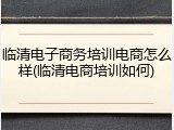 临清电子商务培训电商怎么样(临清电商培训如何)