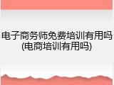 电子商务师免费培训有用吗(电商培训有用吗)