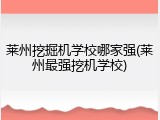 莱州挖掘机学校哪家强(莱州最强挖机学校)