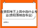 在贵阳考不上高中选什么专业(贵阳落榜选专业)