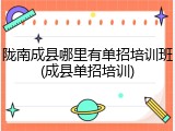 陇南成县哪里有单招培训班(成县单招培训)