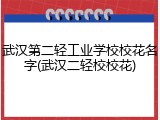 武汉第二轻工业学校校花名字(武汉二轻校校花)