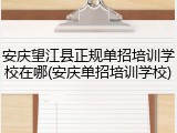 安庆望江县正规单招培训学校在哪(安庆单招培训学校)