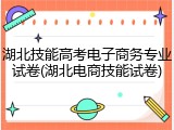 湖北技能高考电子商务专业试卷(湖北电商技能试卷)
