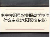 南宁宾阳县农业职高学校读什么专业(宾阳农校专业)