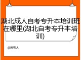 湖北成人自考专升本培训班在哪里(湖北自考专升本培训)