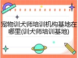 宠物训犬师培训机构基地在哪里(训犬师培训基地)
