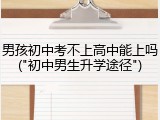 男孩初中考不上高中能上吗("初中男生升学途径")