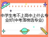 中学生考不上高中上什么专业好(中考落榜选专业)