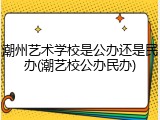 潮州艺术学校是公办还是民办(潮艺校公办民办)