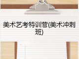 美术艺考特训营(美术冲刺班)