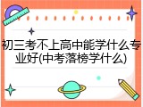 初三考不上高中能学什么专业好(中考落榜学什么)
