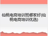 仙桃电商培训班哪家好(仙桃电商培训优选)