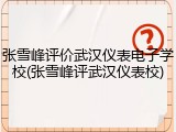 张雪峰评价武汉仪表电子学校(张雪峰评武汉仪表校)