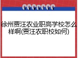 徐州贾汪农业职高学校怎么样啊(贾汪农职校如何)