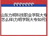 山东力明科技职业学院大专怎么样(力明学院大专如何)