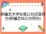 新疆艺术学校是公办还是民办(新疆艺校公办民办)