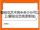 攀枝花艺术高中多少分可以上(攀枝花艺高录取线)
