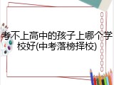 考不上高中的孩子上哪个学校好(中考落榜择校)