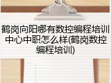 鹤岗向阳哪有数控编程培训中心中职怎么样(鹤岗数控编程培训)
