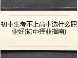 初中生考不上高中选什么职业好(初中择业指南)