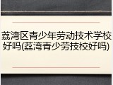荔湾区青少年劳动技术学校好吗(荔湾青少劳技校好吗)