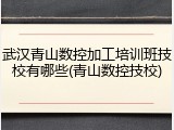 武汉青山数控加工培训班技校有哪些(青山数控技校)