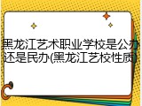 黑龙江艺术职业学校是公办还是民办(黑龙江艺校性质)