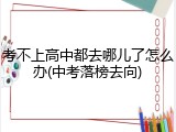 考不上高中都去哪儿了怎么办(中考落榜去向)
