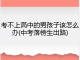 考不上高中的男孩子该怎么办(中考落榜生出路)