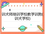 训犬师培训学校教学训狗(训犬学校)