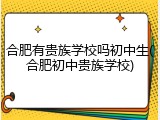 合肥有贵族学校吗初中生(合肥初中贵族学校)