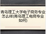青岛理工大学电子商务专业怎么样(青岛理工电商专业如何)