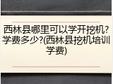 西林县哪里可以学开挖机?学费多少?(西林县挖机培训学费)