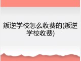 叛逆学校怎么收费的(叛逆学校收费)