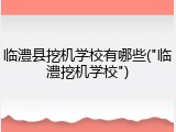 临澧县挖机学校有哪些("临澧挖机学校")