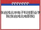 张启鸿北京电子科技职业学院(张启鸿北电职院)
