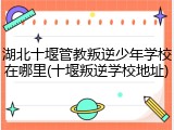 湖北十堰管教叛逆少年学校在哪里(十堰叛逆学校地址)