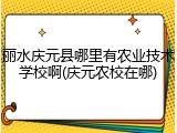 丽水庆元县哪里有农业技术学校啊(庆元农校在哪)