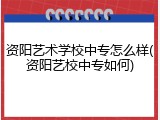 资阳艺术学校中专怎么样(资阳艺校中专如何)
