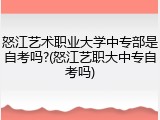 怒江艺术职业大学中专部是自考吗?(怒江艺职大中专自考吗)