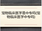 宠物临床医学是中专吗(宠物临床医学中专吗)