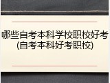 哪些自考本科学校职校好考(自考本科好考职校)