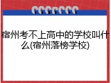 宿州考不上高中的学校叫什么(宿州落榜学校)