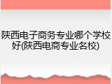 陕西电子商务专业哪个学校好(陕西电商专业名校)